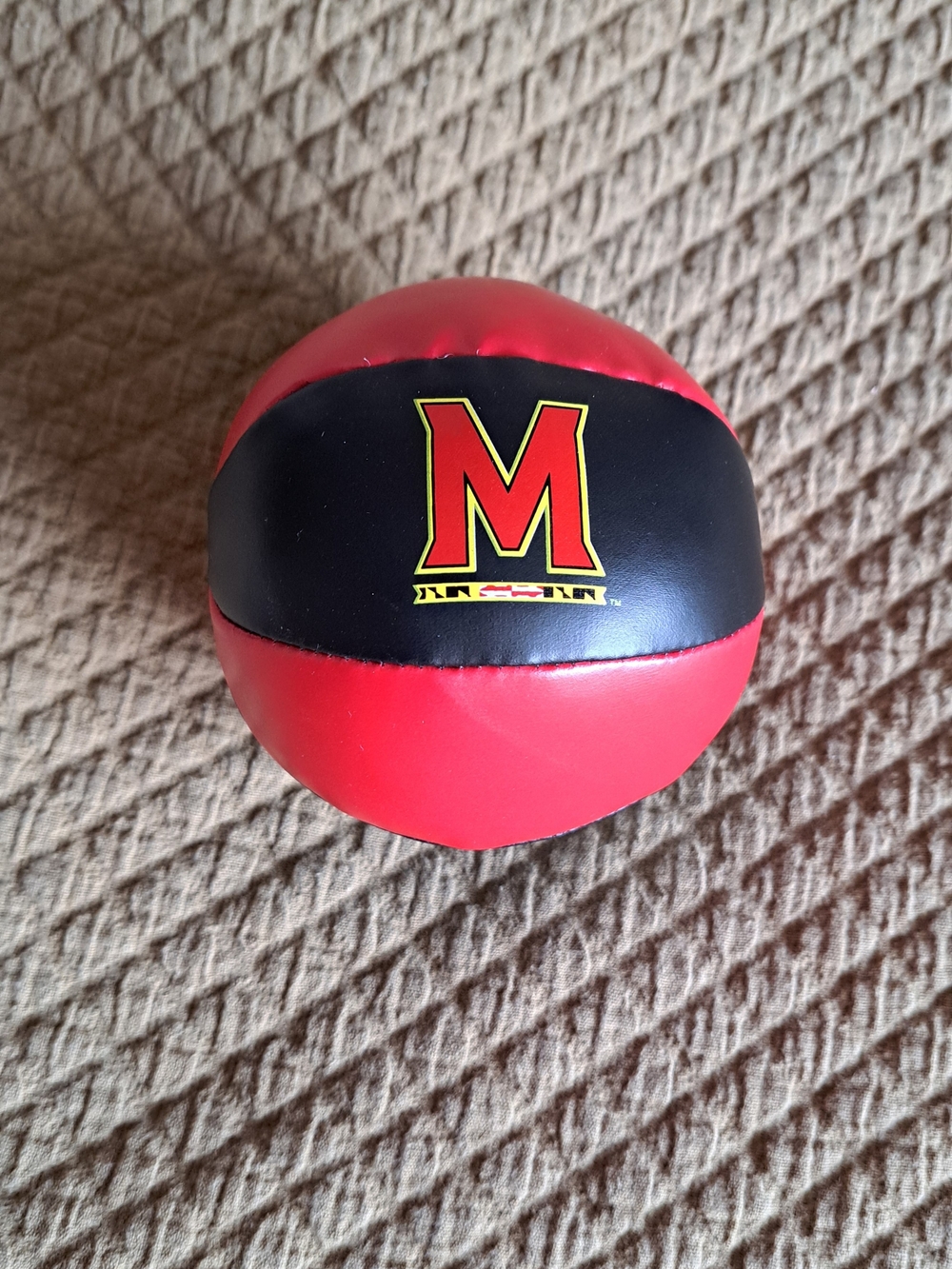 Maryland Terrapin Mini Basketball
